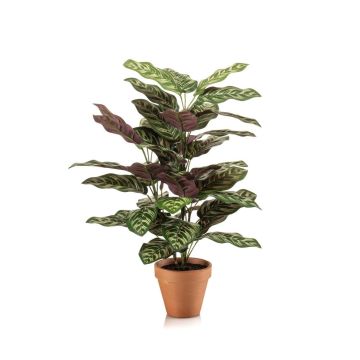Planta artificial Calathea makoyana TROGAR en maceta de terracota, verde-violeta, 65 cm