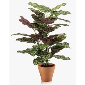 Planta artificial Calathea makoyana TROGAR en maceta de terracota, verde-violeta, 65 cm