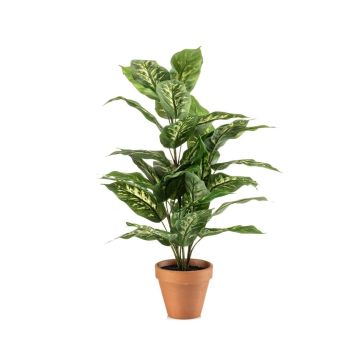 Planta artificial Dieffenbachia ELSAWA en maceta de terracota, verde, 65 cm
