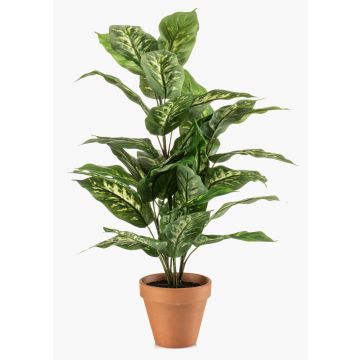 Planta artificial Dieffenbachia ELSAWA en maceta de terracota, verde, 65 cm Planta artificial Dieffenbachia ELSAWA en maceta de terracota, verde, 65 cm