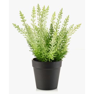 Erica artificial ELSAWO en maceta decorativa, crossdoor, blanco-verde, 30 cm
