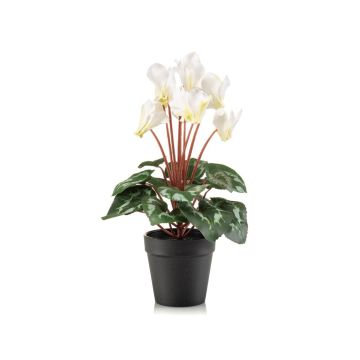 Cyclamen artificial VERIANA en maceta decorativa, blanco-verde, 30 cm