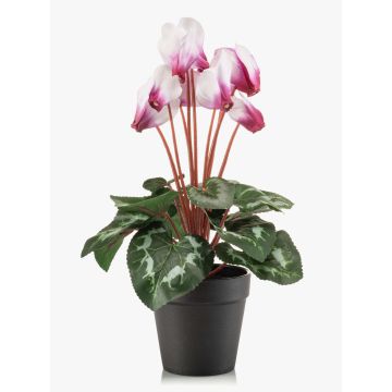 Ciclamen artificial VERIANA en maceta decorativa, blanco-rosa, 30 cm