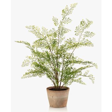 Planta artificial helecho GLERAN en maceta de terracota, raíces, verde, 65 cm