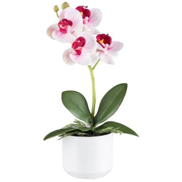 Orquídea Phalaenopsis de tela WERKAN, maceta de cerámica, raíces, blanca y rosa, 27 cm