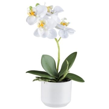 Orquídea Phalaenopsis de tela WERKAN, maceta de cerámica, raíces, blanca, 27 cm