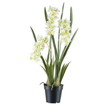 Flor decorativa Cymbidium KLORVEN, raíces, blanco-verde, 80 cm