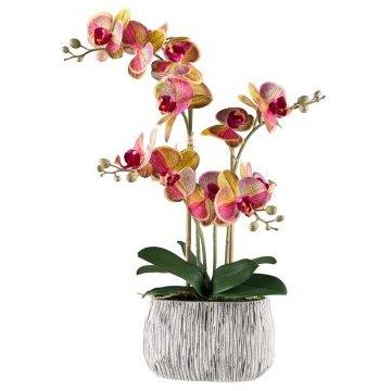 Orquídea Phalaenopsis artificial BLORVEN, cuenco de cemento, raíces, amarillo-rosa, 55 cm
