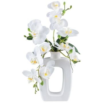 Orquídea Phalaenopsis artificial DRUKLON, jarrón de cerámica, raíces, blanco, 40 cm