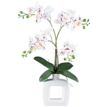 Orquídea Phalaenopsis artificial DRUKLON, jarrón de cerámica, raíces, blanco-rojo, 40 cm Orquídea Phalaenopsis artificial DRUKLON, jarrón de cerámica, raíces, blanco-rojo, 40 cm