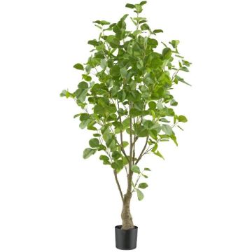 Árbol decorativo eucalipto MERNAS, tronco artificial, verde, 130 cm