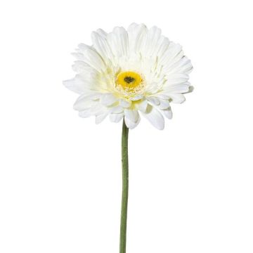 Flor decorativa gerbera VORNEK, blanca, 65 cm