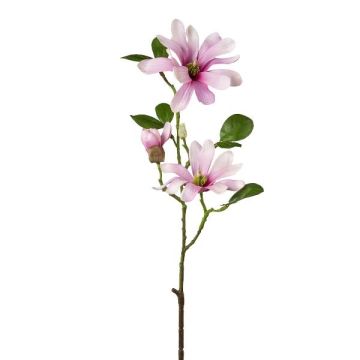 Rama de flores artificiales magnolia estrellada BLOVI, rosa claro, 60 cm
