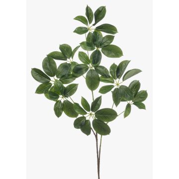 Rama decorativa Schefflera PARVANEH, verde, 110 cm