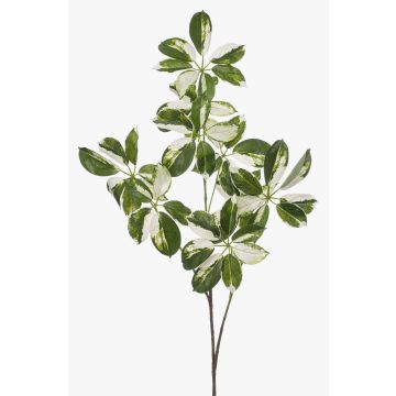 Rama decorativa Schefflera PARVANEH, verde y blanco, 110 cm