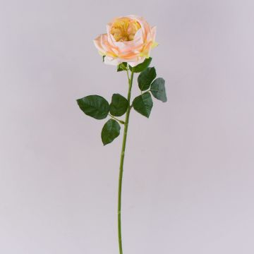 Rosa artificial GINAKAL, albaricoque, 65 cm Rosa artificial GINAKAL, albaricoque, 65 cm