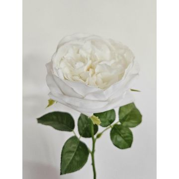 Rosa artificial GINAKAL, crema-blanco, 65 cm