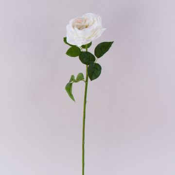Rosa artificial GINAKAL, crema-blanco, 65 cm Rosa artificial GINAKAL, crema-blanco, 65 cm