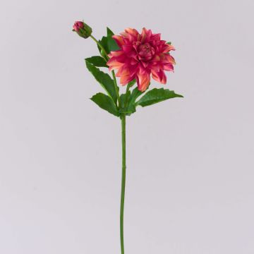 Flor artificial dalia WERNYT, rosa albaricoque, 45 cm Flor artificial dalia WERNYT, rosa albaricoque, 45 cm