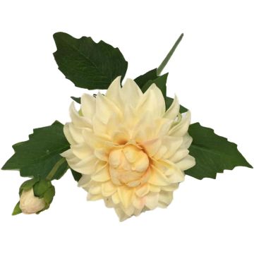 Flor artificial dalia WERNYT, crema-albaricoque, 45 cm Flor artificial dalia WERNYT, crema-albaricoque, 45 cm