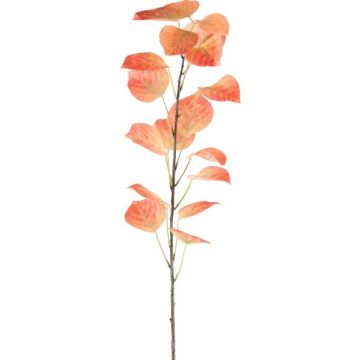 Rama decorativa de álamo negro SOLVEN, naranja, 120 cm