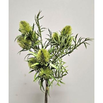 Ramo de flores artificiales de cardo noble SEKLINA, verde, 35 cm