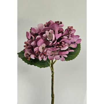 Hortensia artificial MYNMAR, lila-crema, 35 cm