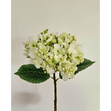 Hortensia artificial MYNMAR, crema-verde, 35 cm