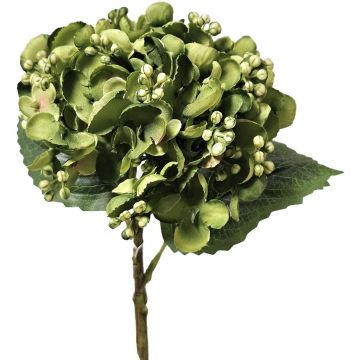 Hortensia artificial MYNMAR, verde, 35 cm