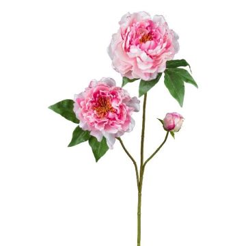 Rama de flores artificiales de peonía BROLI, rosa, 80 cm Rama de flores artificiales de peonía BROLI, rosa, 80 cm