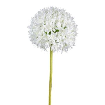 Flor artificial Allium KLATE, blanco, 90 cm