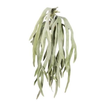 Planta artificial helecho BLUHAN, colgante, varilla, verde grisáceo, 80 cm