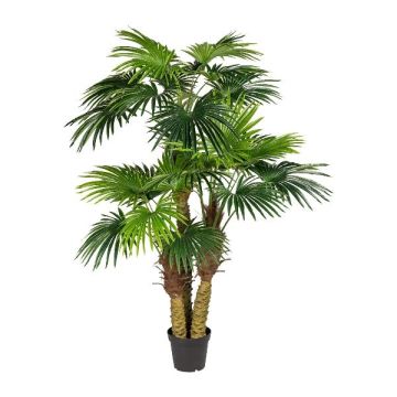 Palmera artificial Washingtonia URSUL, 185cm