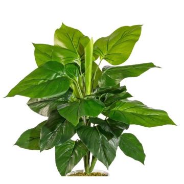 Planta artificial filodendro Scandens GIMPA, varilla, 50 cm