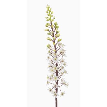 Flor artificial Steppenkerze SCHENRA, blanco-verde, 95 cm Flor artificial Steppenkerze SCHENRA, blanco-verde, 95 cm