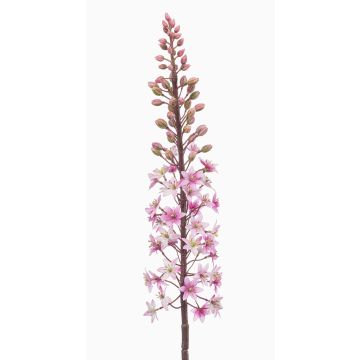 Flor artificial Steppenkerze SCHENRA, rosa, 95 cm