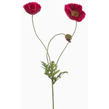 Rama decorativa de amapola SCHUNRA, rosa oscuro, 75 cm