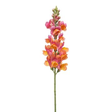 Flor artificial boca de dragón DAENERYS, rosa-naranja, 80 cm