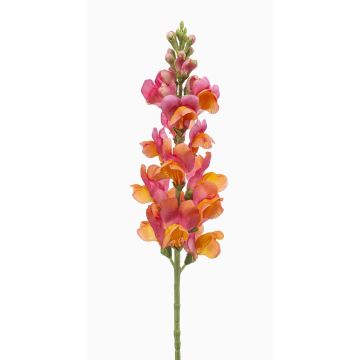 Flor artificial boca de dragón DAENERYS, rosa-naranja, 80cm