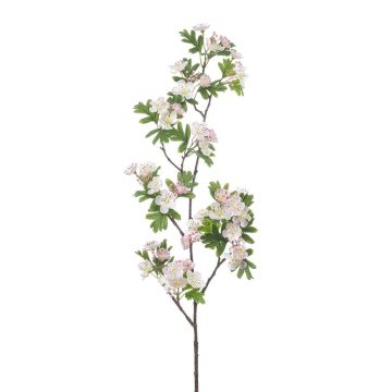 Rama decorativa de espino blanco WILZEN con flores, rosa claro, 95 cm
