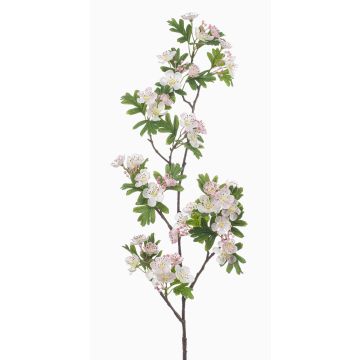 Rama decorativa de espino blanco WILZEN con flores, rosa claro, 95 cm