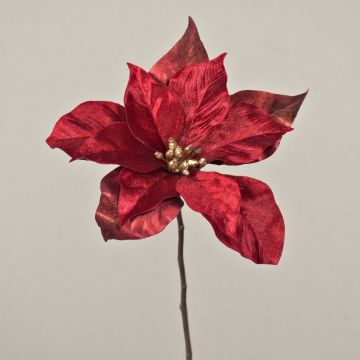 Poinsetia de terciopelo SHEBA, rojo, 55cm, Ø23cm