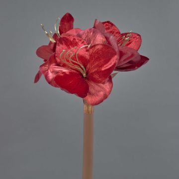 Amaryllis de terciopelo KIRSTY, rojo, 70cm, Ø9cm