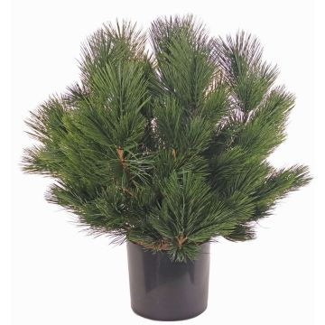 Arbusto de pino artificial KARHA, zona de tránsito, verde, 70cm, Ø70cm Arbusto de pino artificial KARHA, zona de tránsito, verde, 70cm, Ø70cm