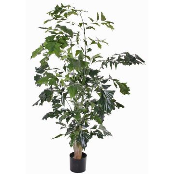 Palmera artificial caryota JASNA, 190cm