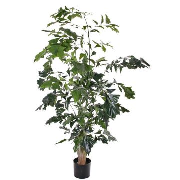 Palmera artificial caryota JASNA, 190cm