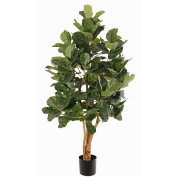 Árbol artificial de ficus lyrata TUNGA, troncos naturales, verde, 150cm Árbol artificial de ficus lyrata TUNGA, troncos naturales, verde, 150cm