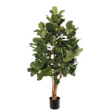 Árbol artificial de ficus lyrata TUNGA, troncos naturales, verde, 150cm