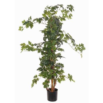 Cissus artificial RAMAN, troncos reales, verde, 115cm Cissus artificial RAMAN, troncos reales, verde, 115cm