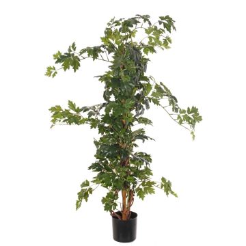 Cissus artificial RAMAN, troncos reales, verde, 115cm Cissus artificial RAMAN, troncos reales, verde, 115cm